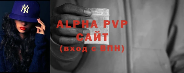 ГАЛЛЮЦИНОГЕННЫЕ ГРИБЫ Вяземский