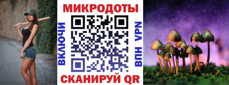 KRAKEN tor  Ельня  Галлюциногенные грибы MAGIC MUSHROOMS 